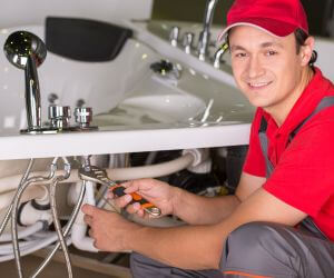 About Plumbers Pros Browning, IL